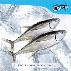 Atum de Barbatana Amarela Congelado