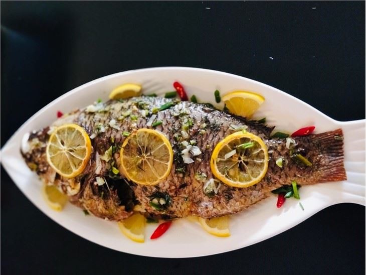 black tilapia