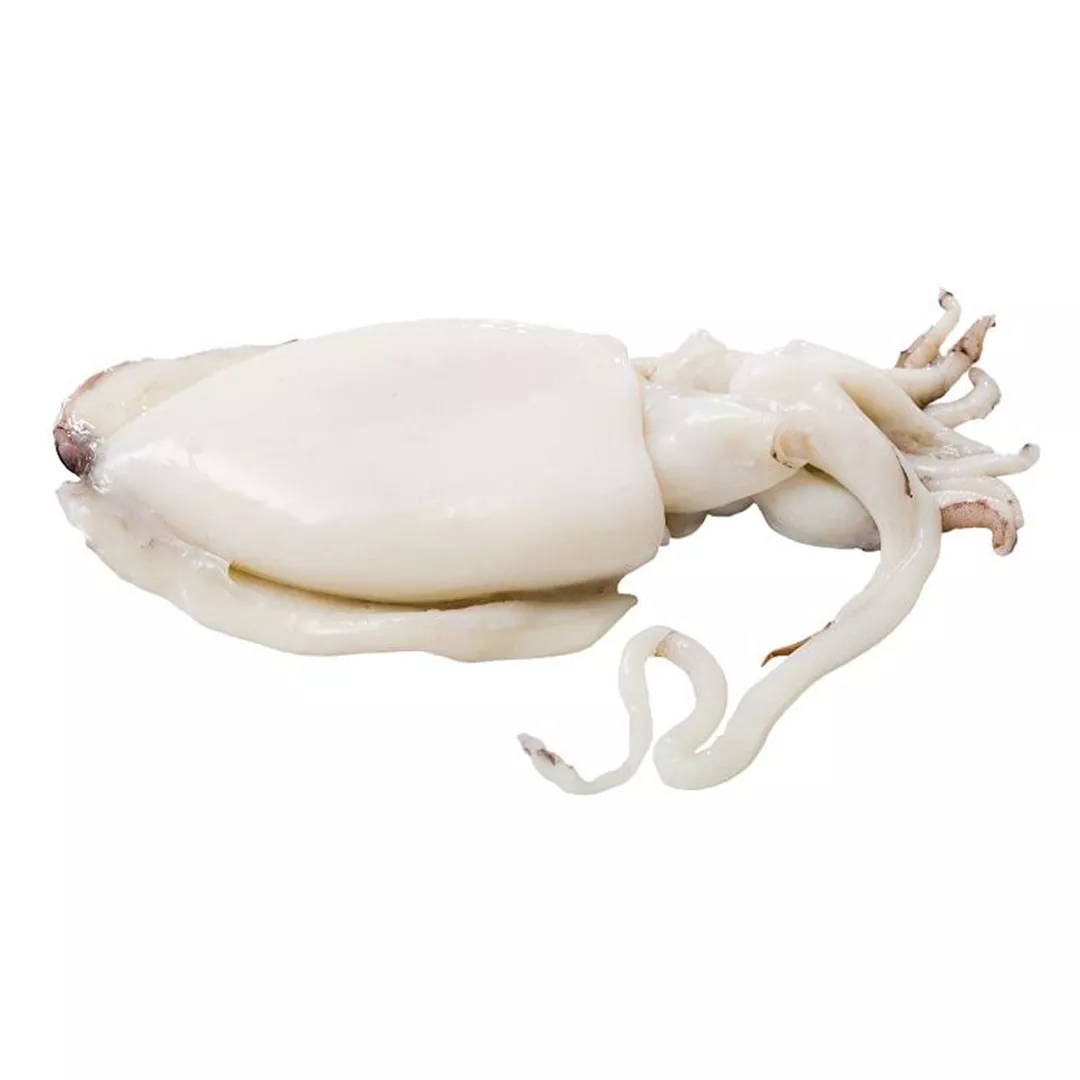 Chocos Congelados