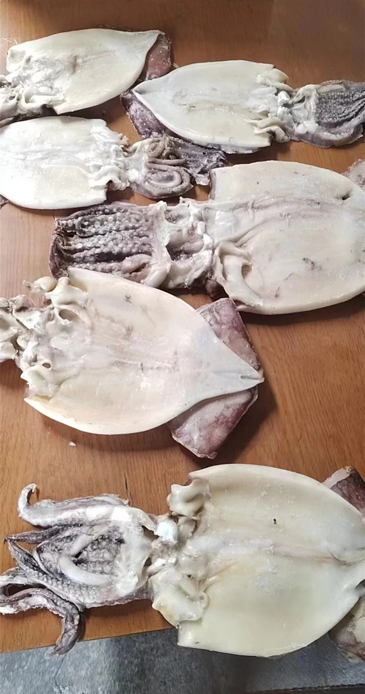 Frozen Sliced Squid