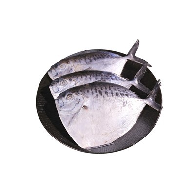 Peixe Mono Congelado Personalizado