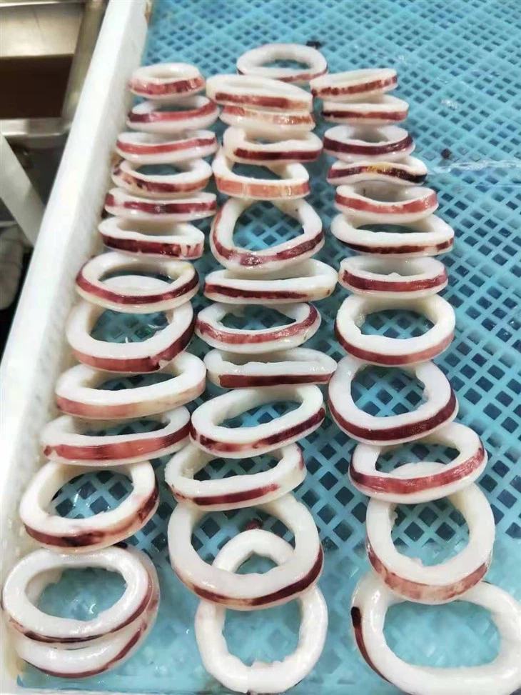 Frozen Squid Ring skin on