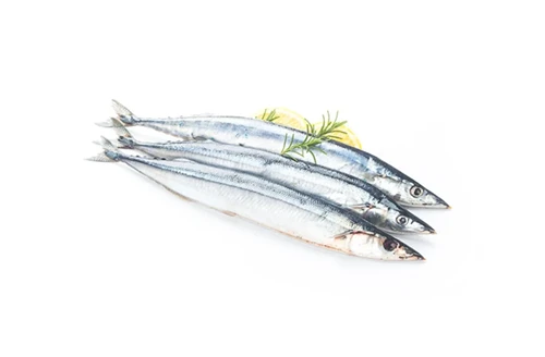 Previsão de captura de Saury no Pacífico do Japão cairá abaixo dos níveis do ...