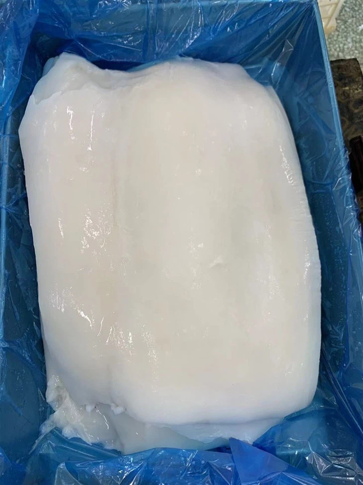 Hot Selling Skin Off Frozen Giant Squid Fillet