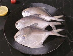Pompano congelado